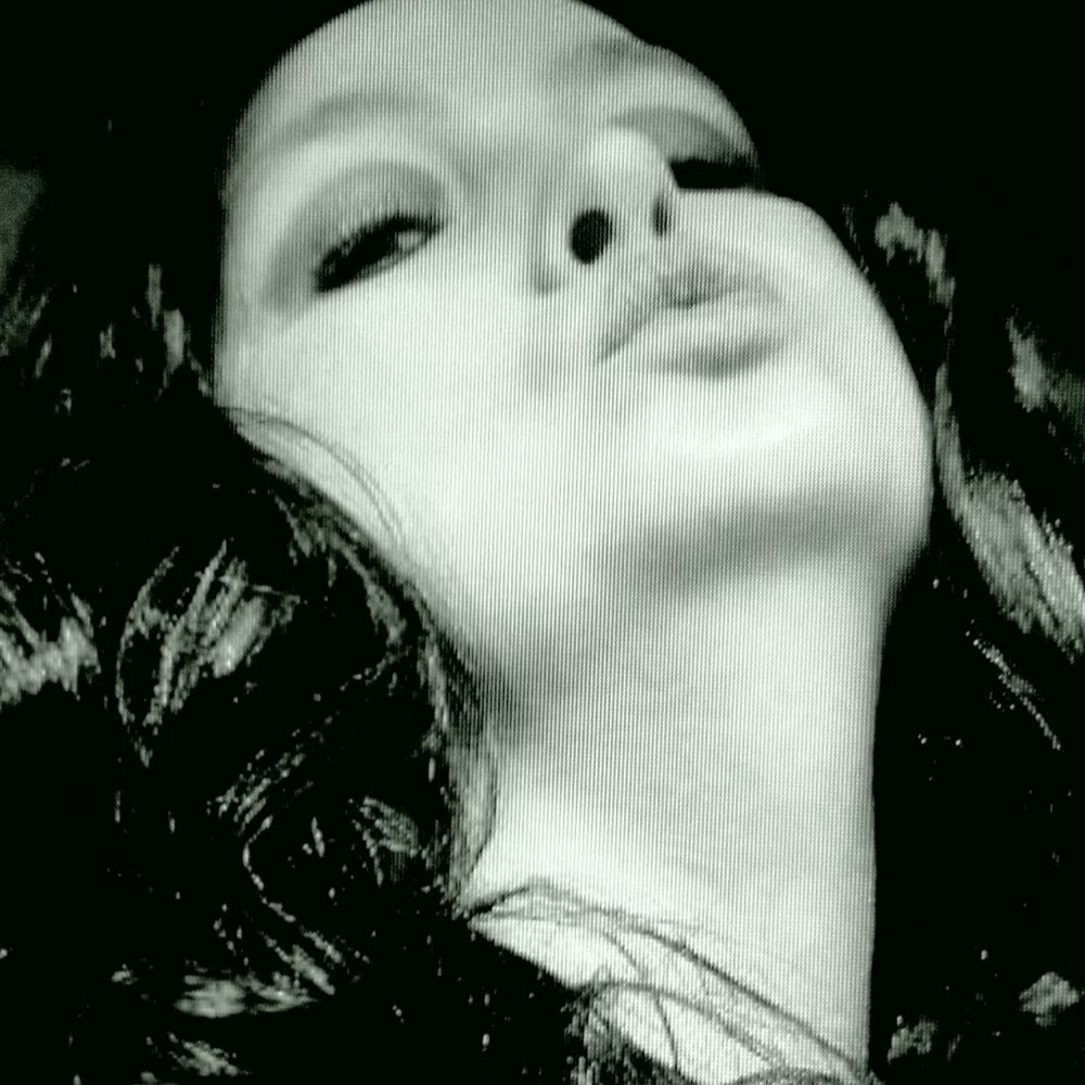 Meet your Posher, Payton